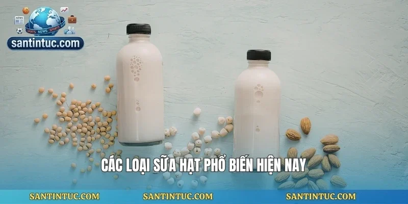 Các loại sữa hạt phổ biến hiện nay