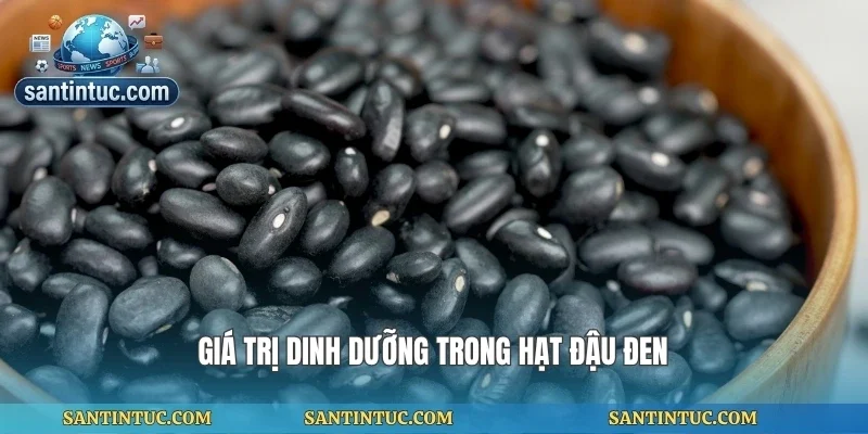 Giá trị dinh dưỡng trong hạt đậu đen
