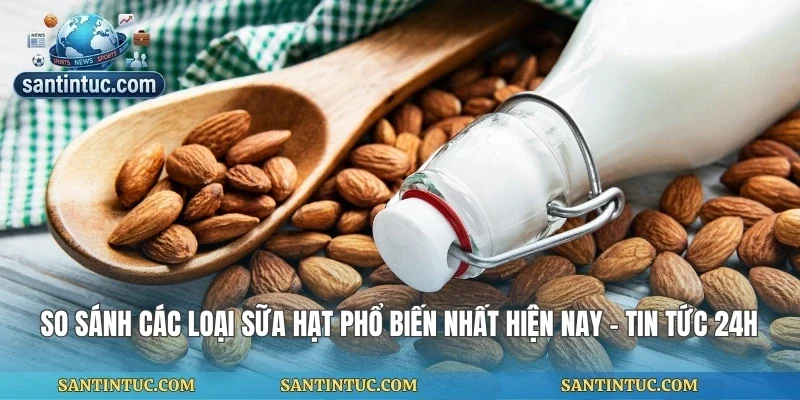 So Sánh Các Loại Sữa Hạt Phổ Biến Nhất Hiện Nay - Tin Tức 24h
