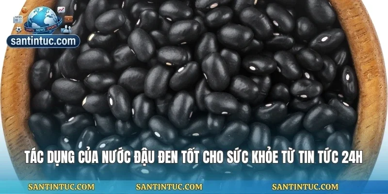 Tác Dụng Của Nước Đậu Đen Tốt Cho Sức Khỏe Từ Tin Tức 24h