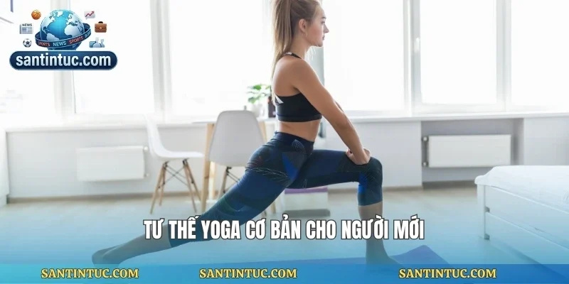 Tư thế yoga cơ bản cho người mới